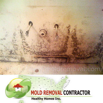 Black Mold Removal - Home
